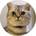 Raphael Boettger Avatar